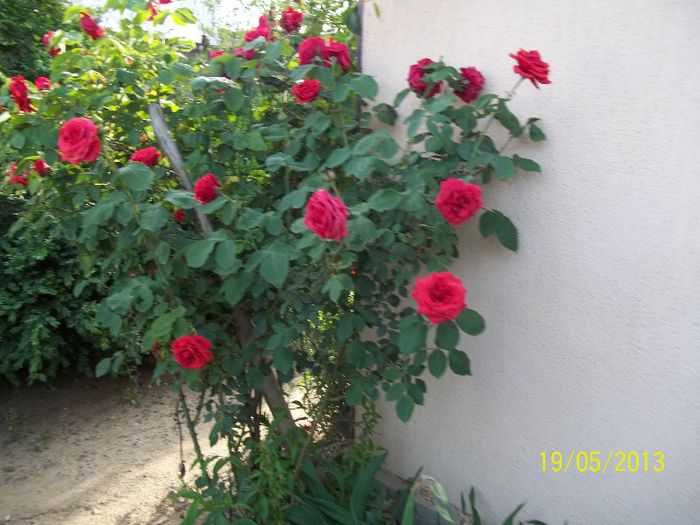 100_2225