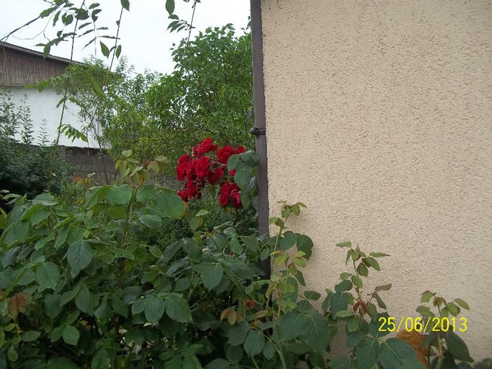 100_3025
