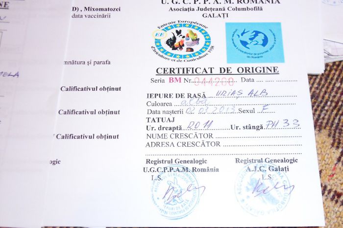 SDC11080 - certificatul de origine