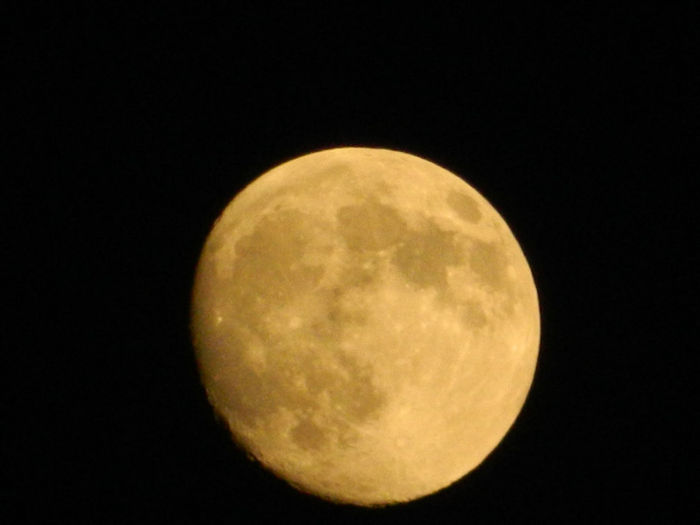 DSCN3975