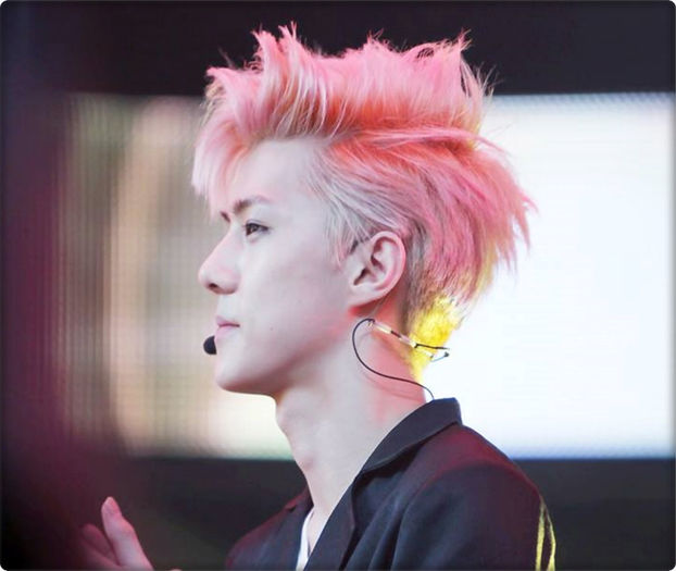 ▬ ▬ ▬ ▬ ▬ ▬ ▬ ▬ ▬ ▬ ▬ ▬