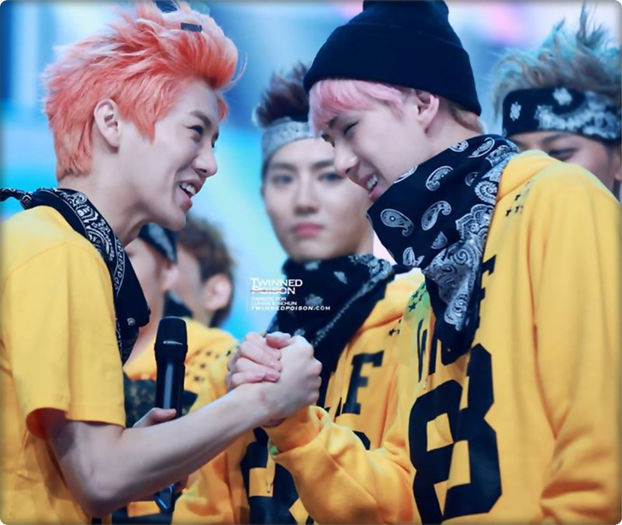 ▬ ▬ ▬ ▬ ▬ ▬ ▬ ▬ ▬ ▬ ▬ ▬