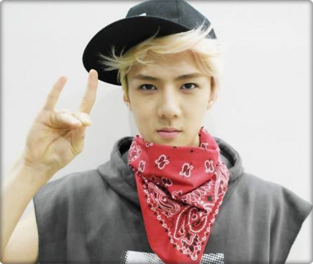 ▬ ▬ ▬ ▬ ▬ ▬ ▬ ▬ ▬ ▬ ▬ ▬