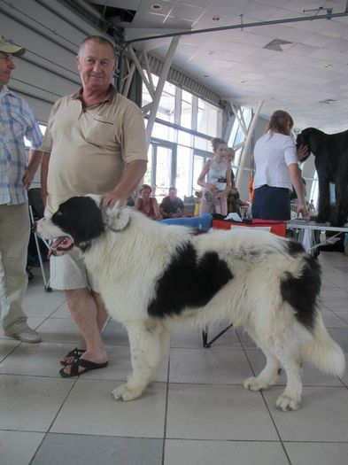  - m-CACIB CONSTANTA - 23 -06-2013