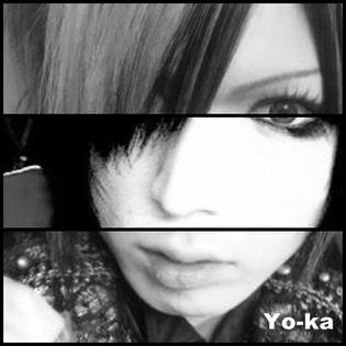 Yo-ka - Bucati din Diaura