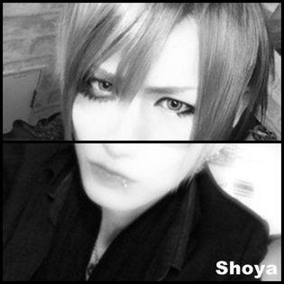 Shoya - Bucati din Diaura