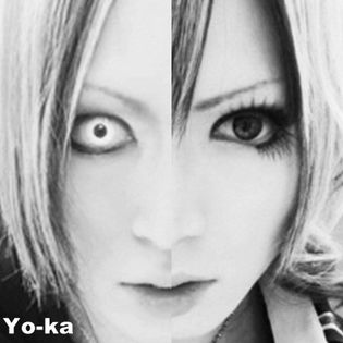 yokayokayokayoka - Bucati din Diaura