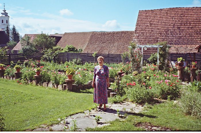 R001-022 - Sotia mea