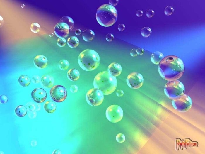 Dupa ore,Mimi a mers la cumparaturi.