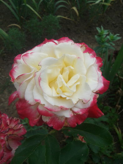 2013-06-23 12.35.17