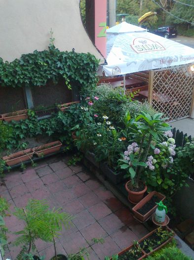 Fotografie2297 - Copy