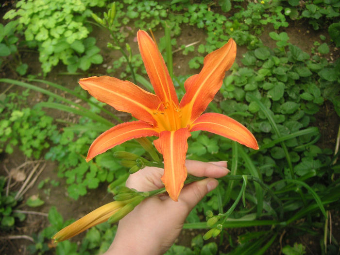 SANY0014