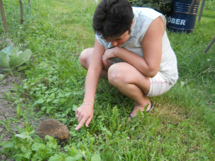 032 - zi de vara la tzara