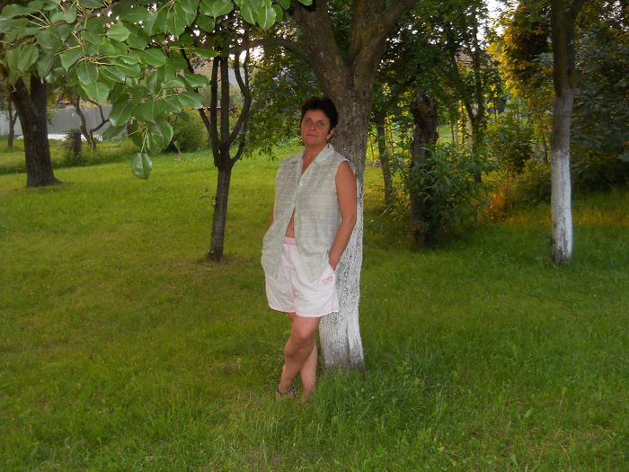 034 - zi de vara la tzara