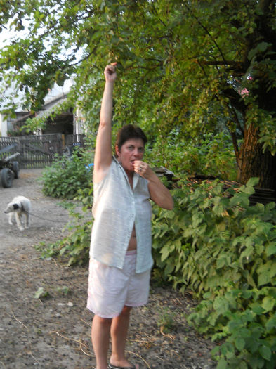 036 - zi de vara la tzara