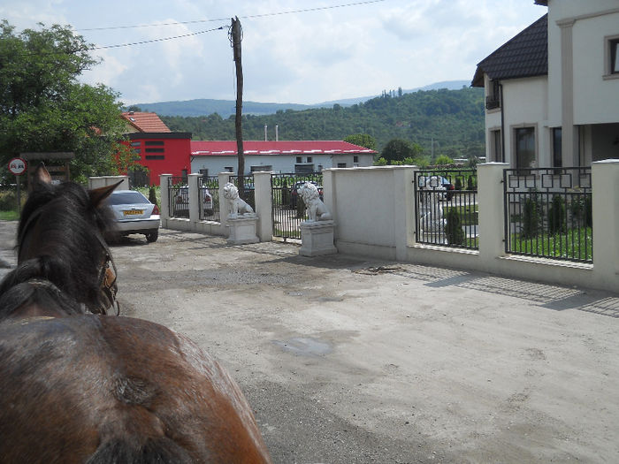 042 - zi de vara la tzara