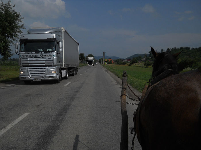 049 - zi de vara la tzara