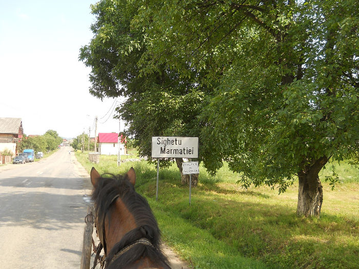 050 - zi de vara la tzara