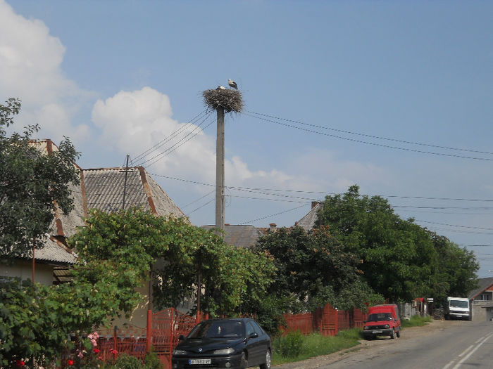 052 - zi de vara la tzara