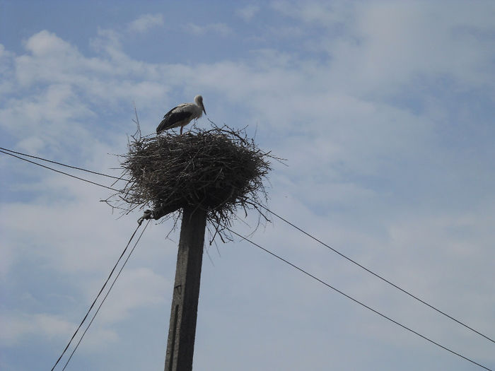 053 - zi de vara la tzara