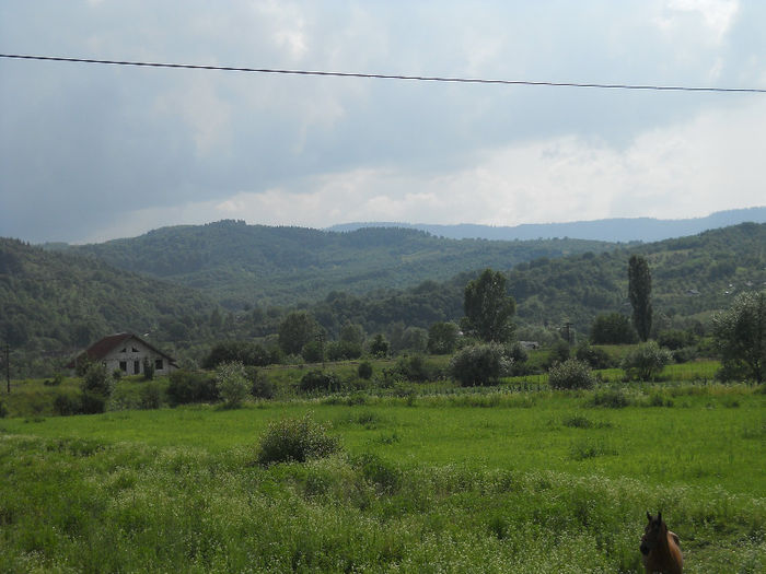 059 - zi de vara la tzara