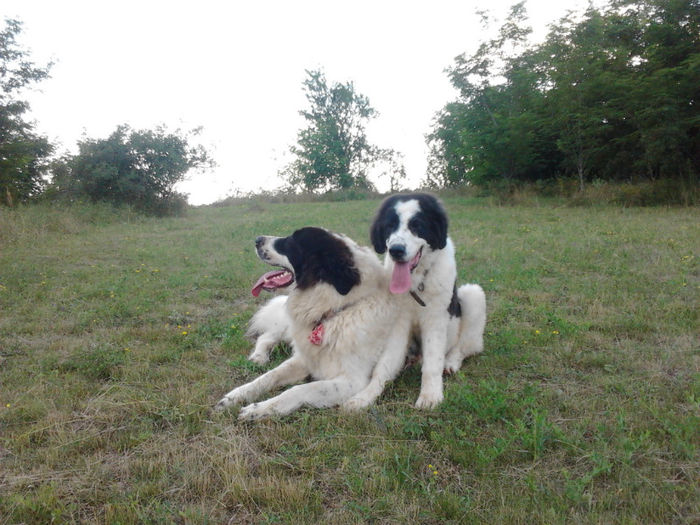 2013-06-27 19.09.18 - Molda