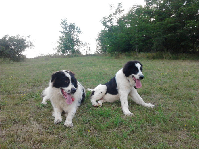 2013-06-27 19.09.41 - Molda