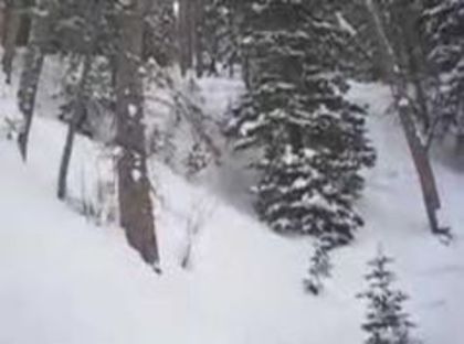 Fiica dv e moarta!:(Ne pare rau!inchide*