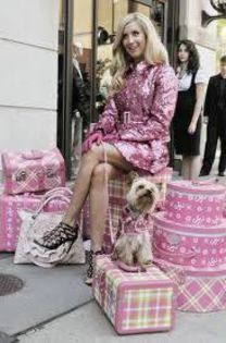 304095_243084595746242_1083639384_n