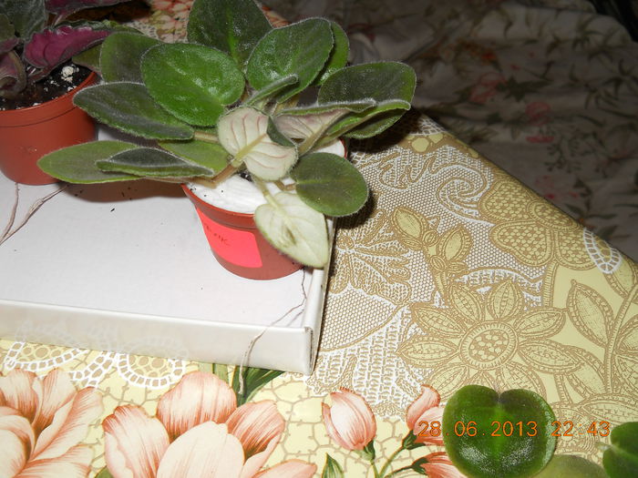 001 - ACHIZITII 2013