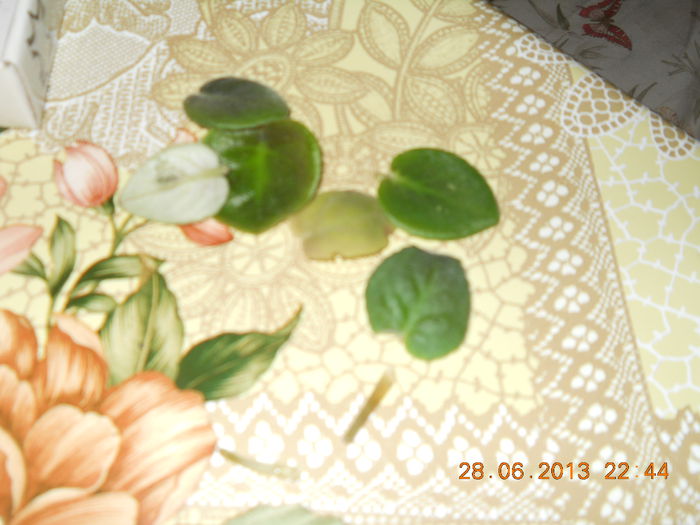 003 - ACHIZITII 2013