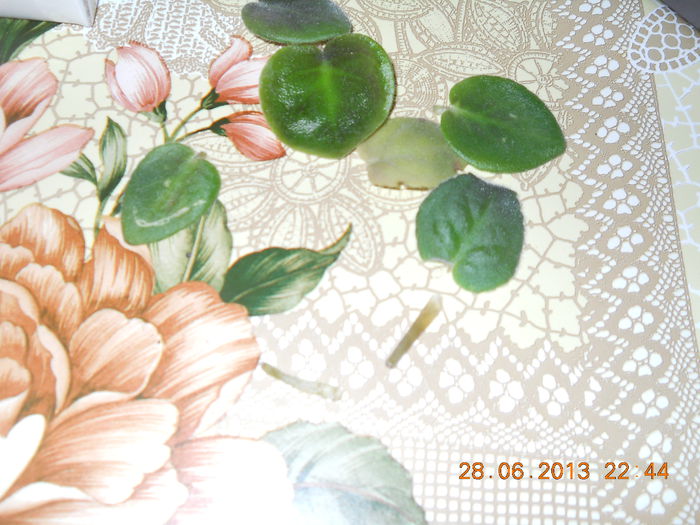 004 - ACHIZITII 2013