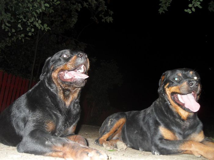 SDC16207 - 28-06-2013 TASHA SI ROKY