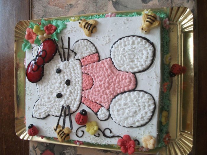 Copy of DSCF4625 - torturi de copii BRASOV