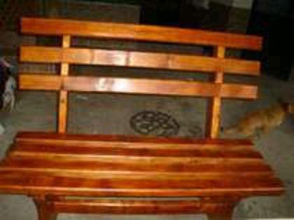 42545638_NRORYBQCF - gradina