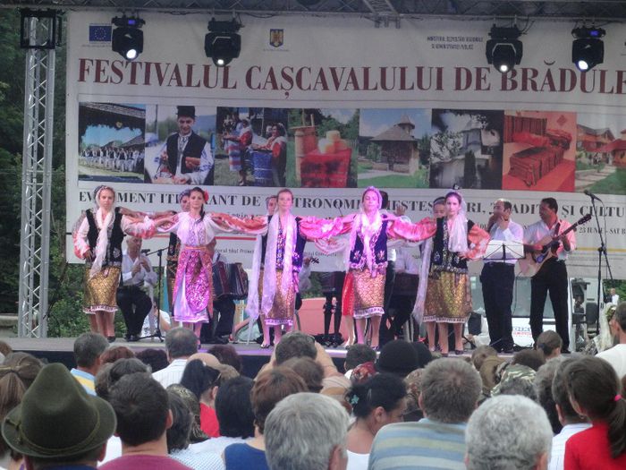 DSC07246 - festivalul cascavalului de bradulet 2013