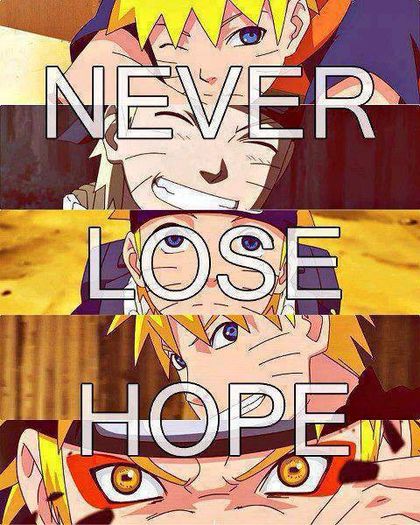 935214_579522212088160_435619999_n