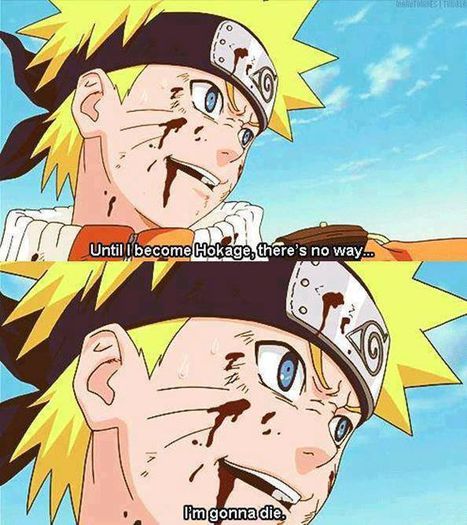 946440_579116205462094_234158179_n