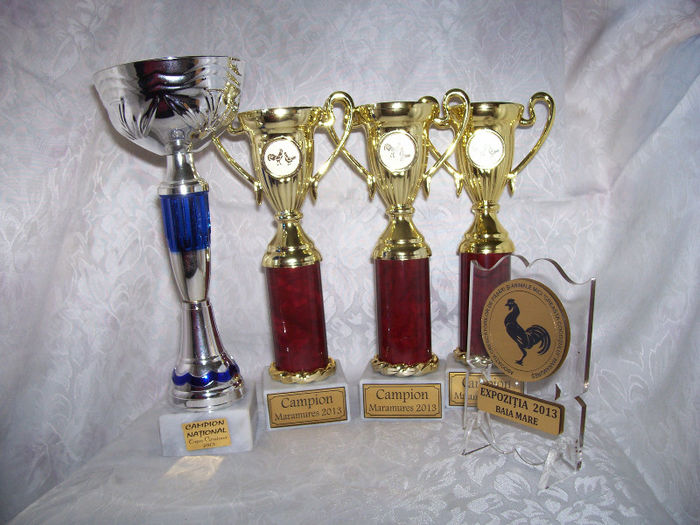 100_5578 - TROFEE 2013