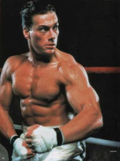 Vann Damme