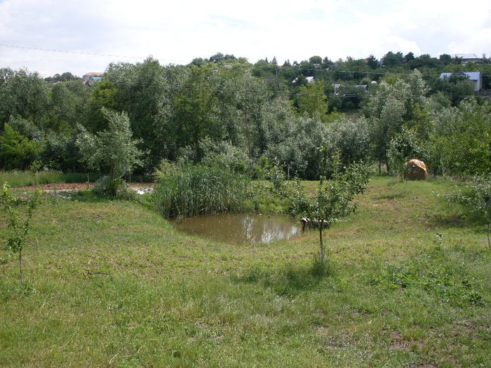 acelasi loc vara - adiferite imagini