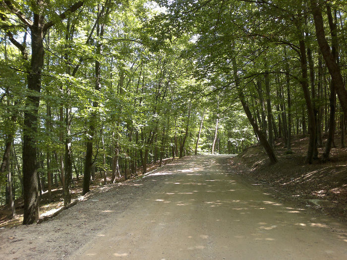 170620132703[1] - placerea de a face fotografii