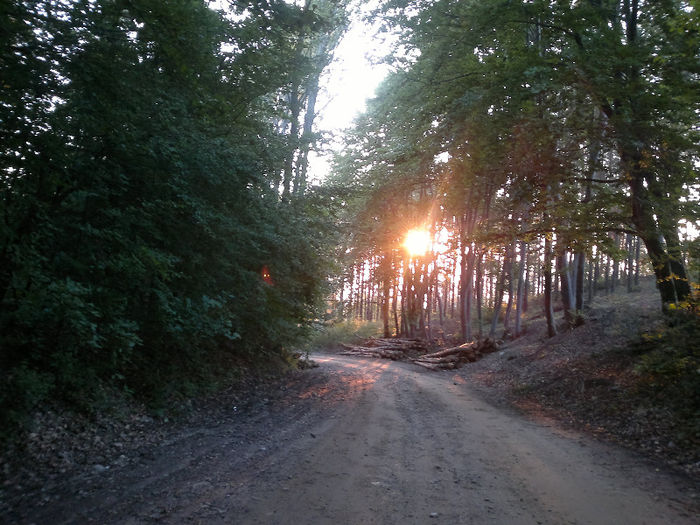 170620132701[1] - placerea de a face fotografii