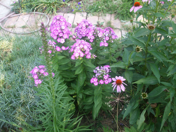 DSCF1992 - vara 2013