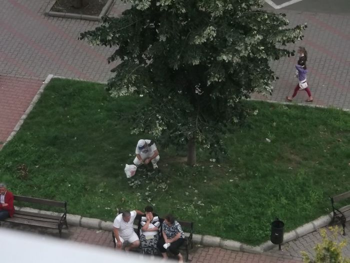 A LUAT SI EL NISTE CEAI - RUSINICA DE BISTRITA