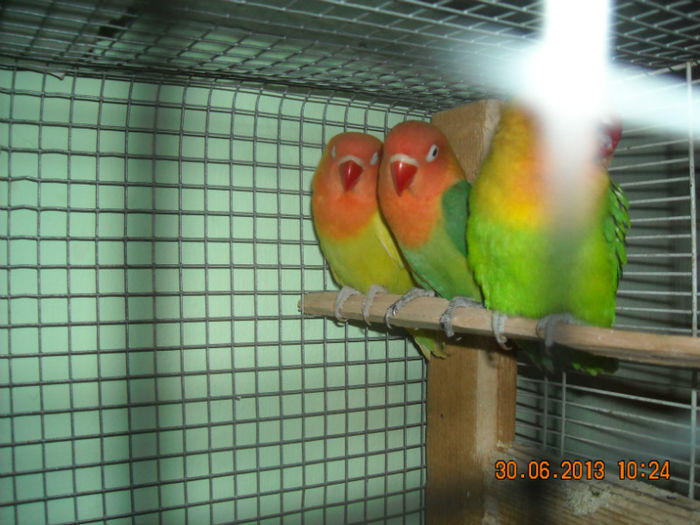 DSCN0116