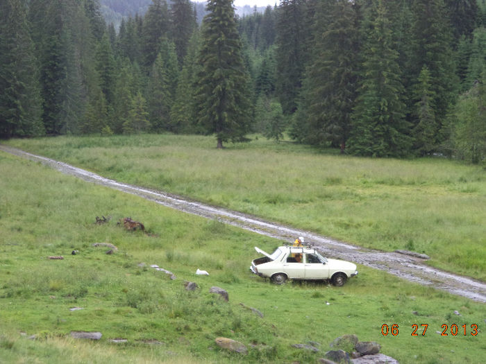 Dacia lui Costel; Dacia lui Costel pe drumul catre Voievodeasa
