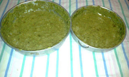 avo jemur7 - ulei de avocado facut in casa-homemade avocado oil