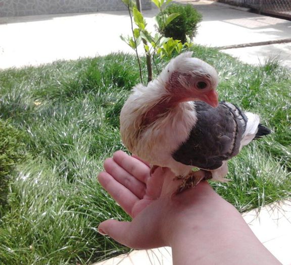 2013-06-25 11.44.13-1