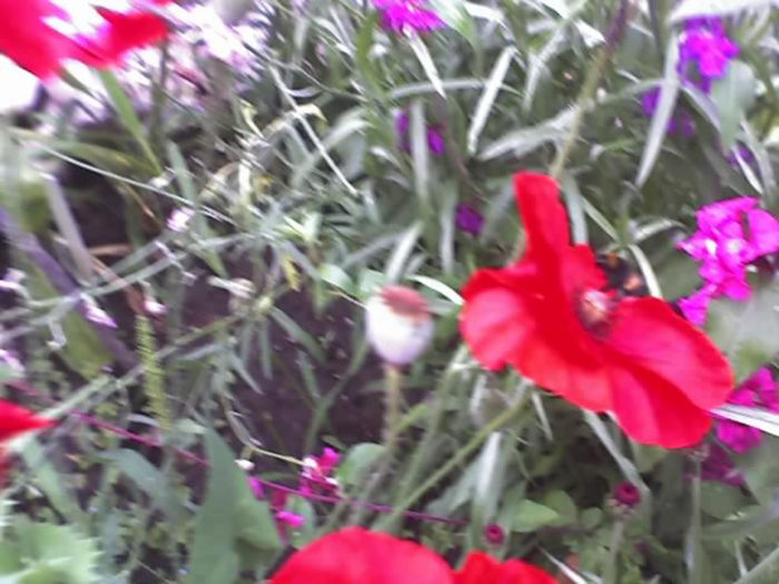 28-06-13_1122